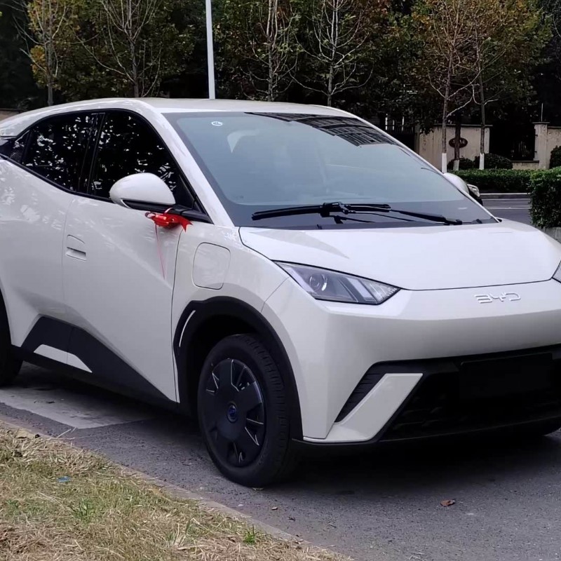 Seagull 2025 305km Vitality Edition Seagull 2025 305km Vitality Edition