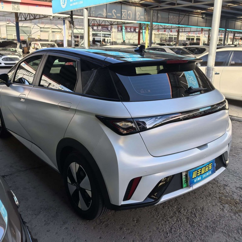 Dolphin 2023 420km Fashion Edition Dolphin 2023 420km Fashion Edition