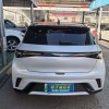 Dolphin 2023 420km Fashion Edition Dolphin 2023 420km Fashion Edition