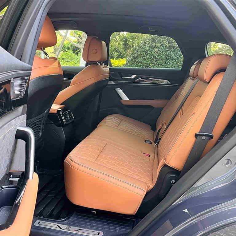 Tang New Energy 2023 DM-i Champion Edition 112KM Premium Edition Tang New Energy 2023 DM-i Champion Edition 112KM Premium Edition