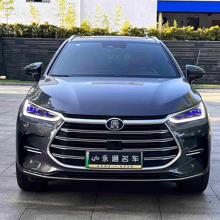 Tang New Energy 2023 DM-i Champion Edition 112KM Premium Edition Tang New Energy 2023 DM-i Champion Edition 112KM Premium Edition