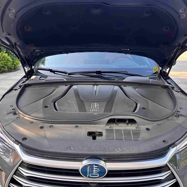 Tang New Energy 2023 DM-i Champion Edition 112KM Premium Edition Tang New Energy 2023 DM-i Champion Edition 112KM Premium Edition