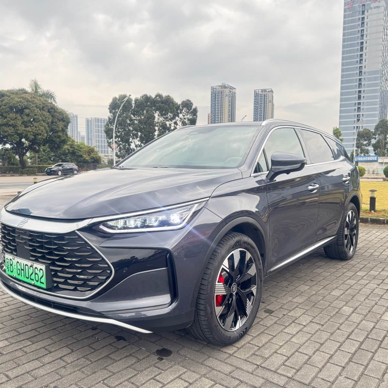 Tang New Energy 2024 DM-p Champion Edition 215KM Four-Wheel Drive Flagship Model Tang New Energy 2024 DM-p Champion Edition 215KM Four-Wheel Drive Flagship Model