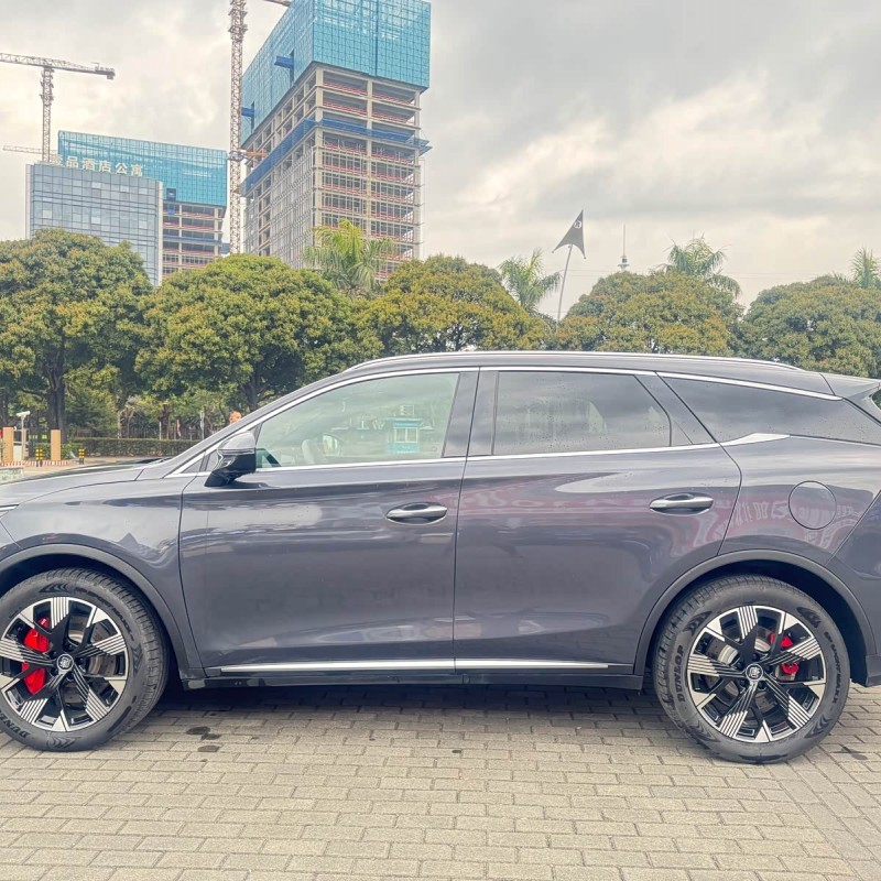 Tang New Energy 2024 DM-p Champion Edition 215KM Four-Wheel Drive Flagship Model Tang New Energy 2024 DM-p Champion Edition 215KM Four-Wheel Drive Flagship Model