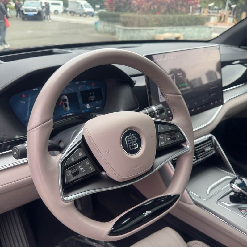 Tang New Energy 2024 DM-p Champion Edition 215KM Four-Wheel Drive Flagship Model Tang New Energy 2024 DM-p Champion Edition 215KM Four-Wheel Drive Flagship Model