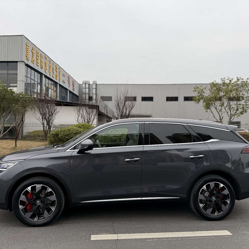 Tang New Energy 2024 DM-p Champion Edition 215KM Four-Wheel Drive Flagship Model Tang New Energy 2024 DM-p Champion Edition 215KM Four-Wheel Drive Flagship Model