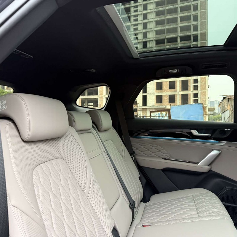 Tang New Energy 2024 DM-p Champion Edition 215KM Four-Wheel Drive Flagship Model Tang New Energy 2024 DM-p Champion Edition 215KM Four-Wheel Drive Flagship Model