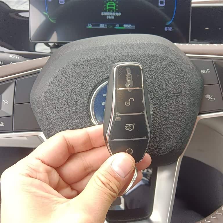 Qin PLUS 2023 Champion Edition DM-i 55KM Leading Edition Qin PLUS 2023 Champion Edition DM-i 55KM Leading Edition