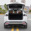 Song L DM-i 2024 model 112km surpassing model Song L DM-i 2024 model 112km surpassing model