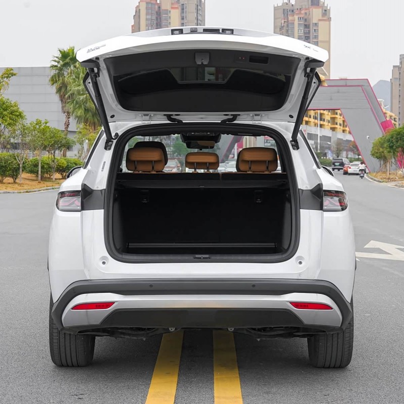 Song L DM-i 2024 model 112km surpassing model Song L DM-i 2024 model 112km surpassing model