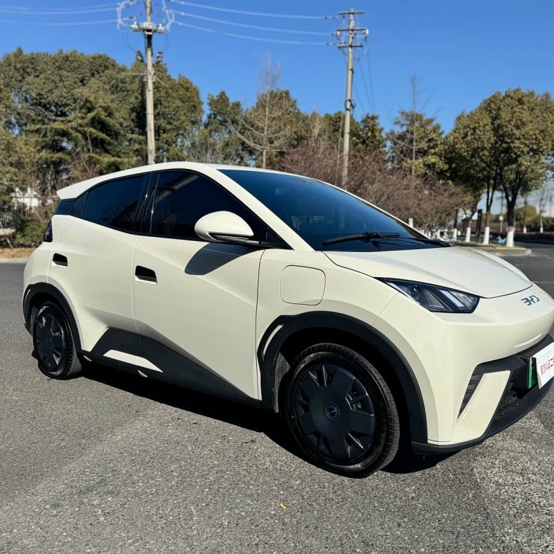 Seagull 2025 305km Vitality Edition Seagull 2025 305km Vitality Edition