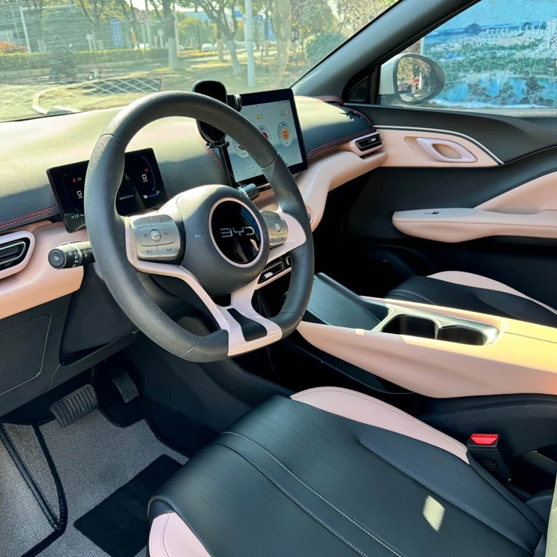Seagull 2025 305km Vitality Edition Seagull 2025 305km Vitality Edition