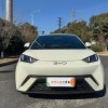 Seagull 2025 305km Vitality Edition Seagull 2025 305km Vitality Edition