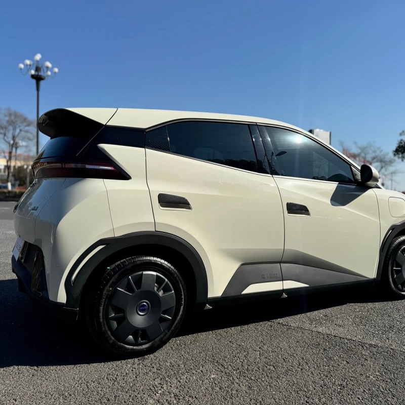 Seagull 2025 305km Vitality Edition Seagull 2025 305km Vitality Edition