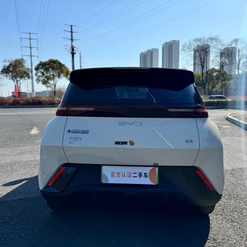 Seagull 2025 305km Vitality Edition Seagull 2025 305km Vitality Edition