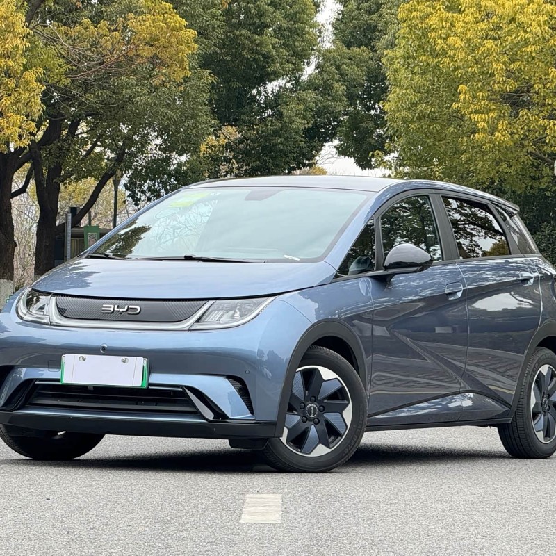 Dolphin 2024 Glory Edition 420km Fashion Edition
