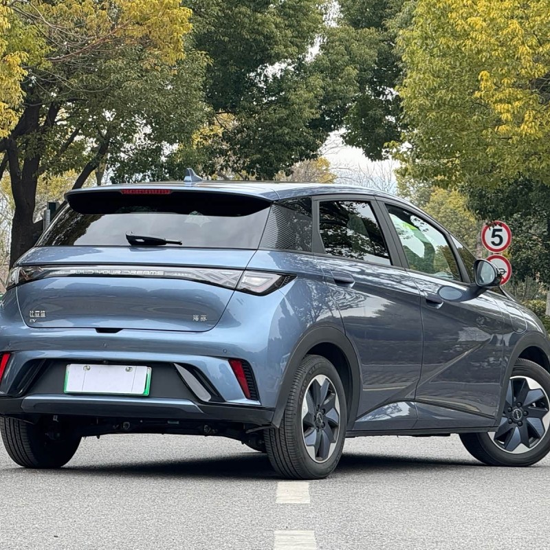 Dolphin 2024 Glory Edition 420km Fashion Edition Dolphin 2024 Glory Edition 420km Fashion Edition