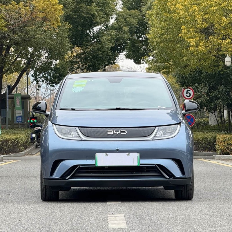 Dolphin 2024 Glory Edition 420km Fashion Edition Dolphin 2024 Glory Edition 420km Fashion Edition