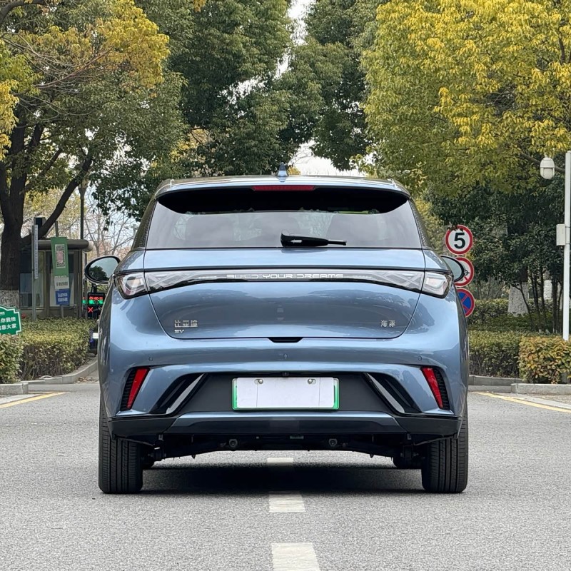 Dolphin 2024 Glory Edition 420km Fashion Edition Dolphin 2024 Glory Edition 420km Fashion Edition