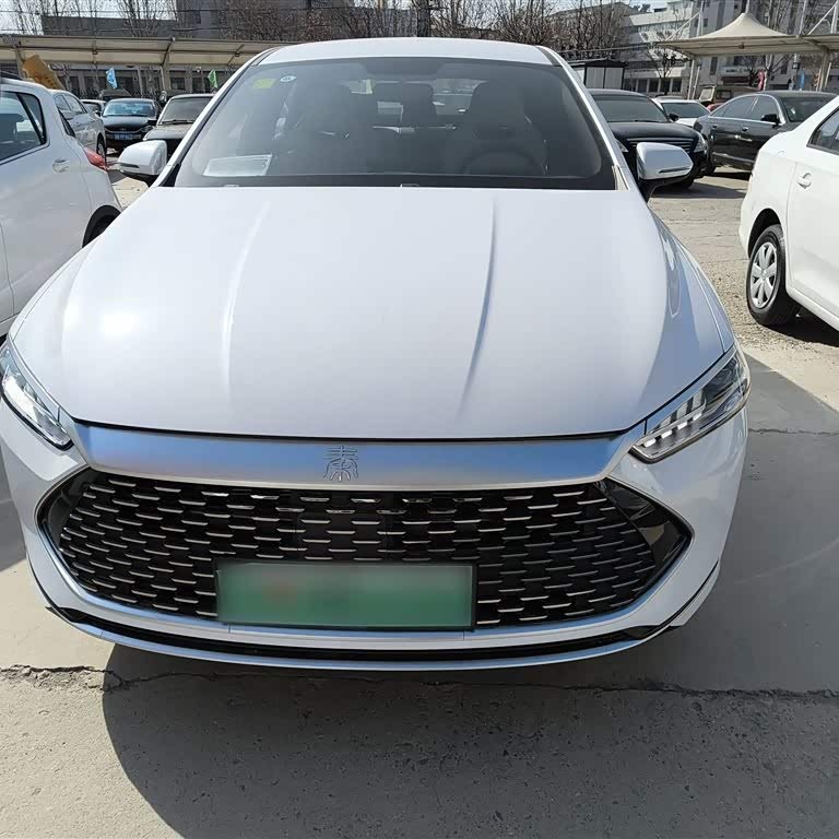 Qin PLUS 2024 Honor Edition DM-i 55KM Leading Edition Qin PLUS 2024 Honor Edition DM-i 55KM Leading Edition