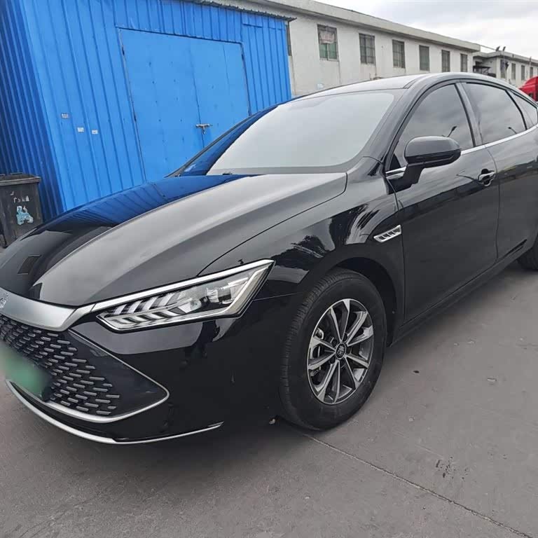 Qin PLUS 2024 Honor Edition DM-i 55KM Leading Edition
