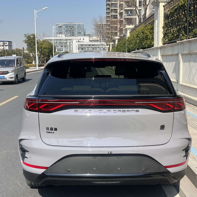 Tang New Energy 2025 DM-i 115KM Yunnian Flagship Model Tang New Energy 2025 DM-i 115KM Yunnian Flagship Model