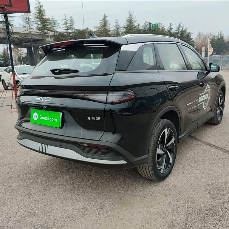 Sea Lion 05 DM-i 2025 DM-i 115KM Flagship Model Sea Lion 05 DM-i 2025 DM-i 115KM Flagship Model