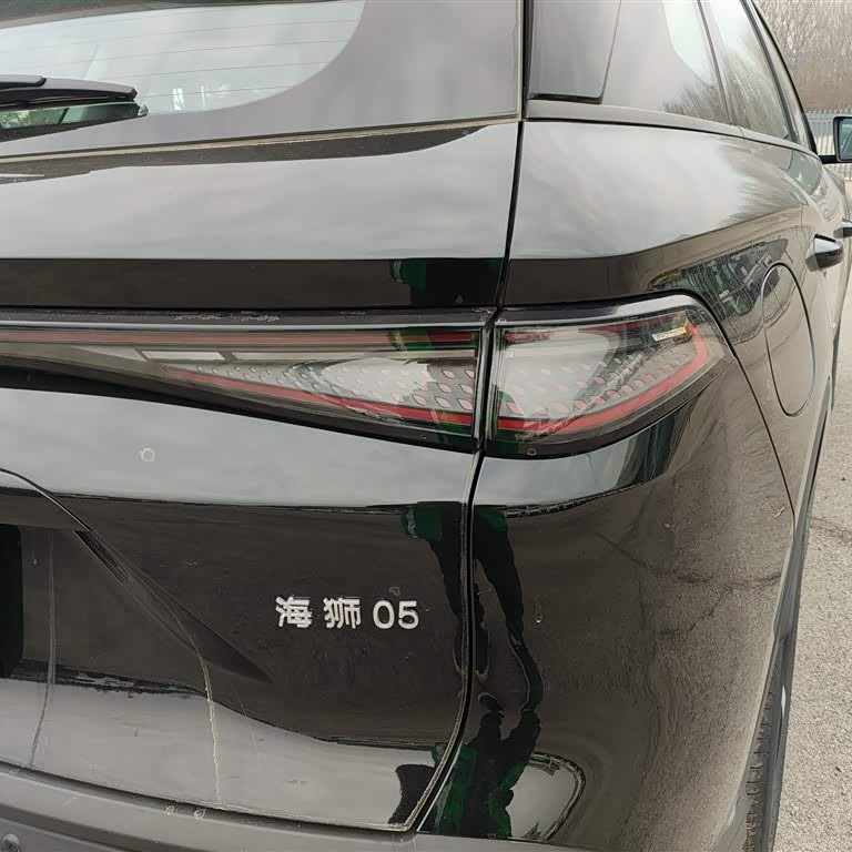 Sea Lion 05 DM-i 2025 DM-i 115KM Flagship Model Sea Lion 05 DM-i 2025 DM-i 115KM Flagship Model