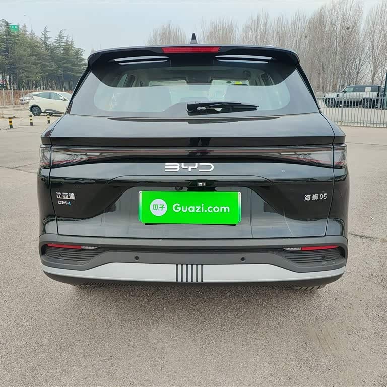 Sea Lion 05 DM-i 2025 DM-i 115KM Flagship Model Sea Lion 05 DM-i 2025 DM-i 115KM Flagship Model
