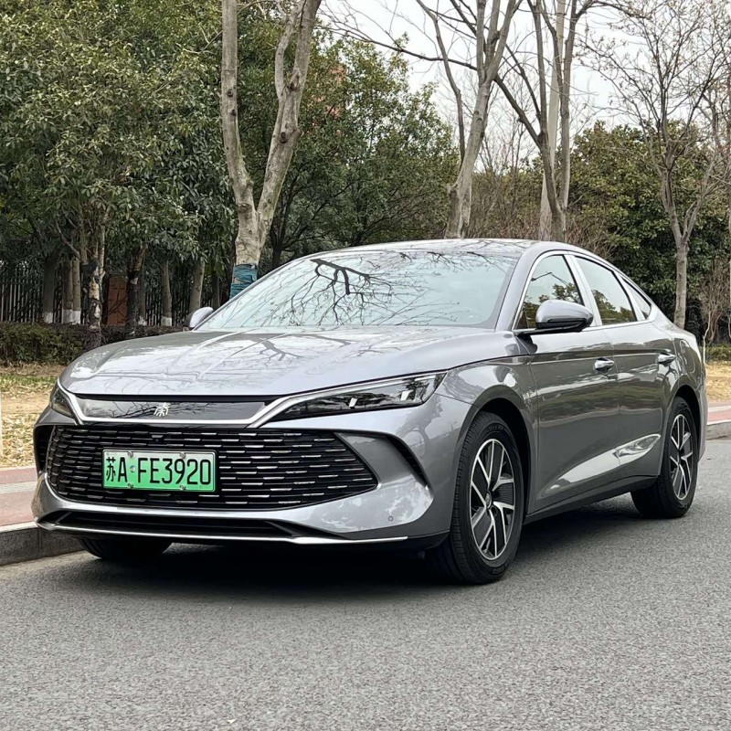Qin L 2024 DM-i 80KM Beyond Edition