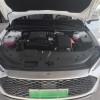Qin PLUS 2024 Honor Edition DM-i 55KM Leading Edition