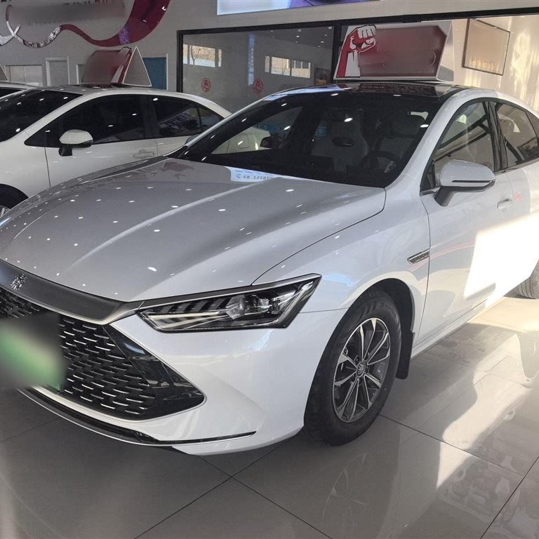 Qin PLUS 2024 Honor Edition DM-i 55KM Leading Edition