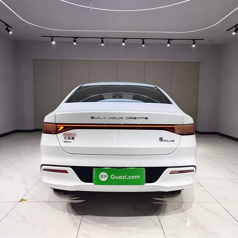 Qin PLUS 2024 Honor Edition DM-i 55KM Leading Edition Qin PLUS 2024 Honor Edition DM-i 55KM Leading Edition