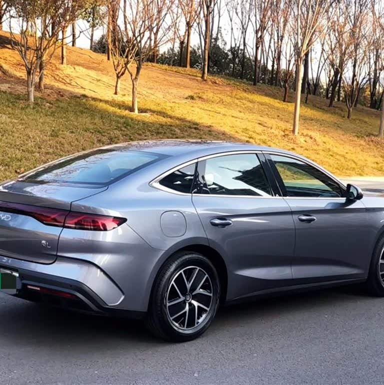 Qin L 2024 DM-i 120KM Beyond Edition Qin L 2024 DM-i 120KM Beyond Edition