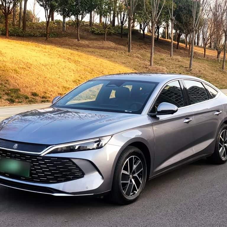 Qin L 2024 DM-i 120KM Beyond Edition Qin L 2024 DM-i 120KM Beyond Edition