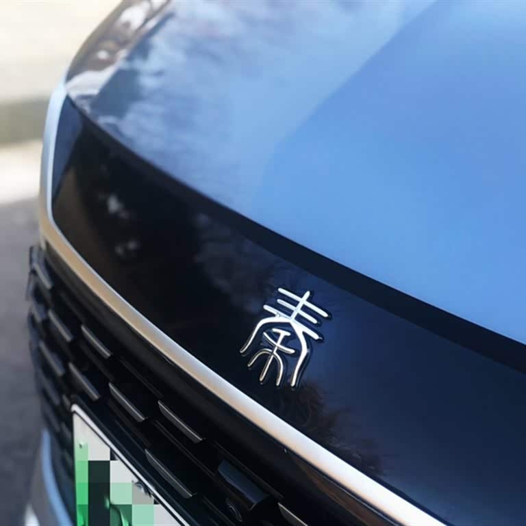 Qin L 2024 DM-i 120KM Beyond Edition Qin L 2024 DM-i 120KM Beyond Edition