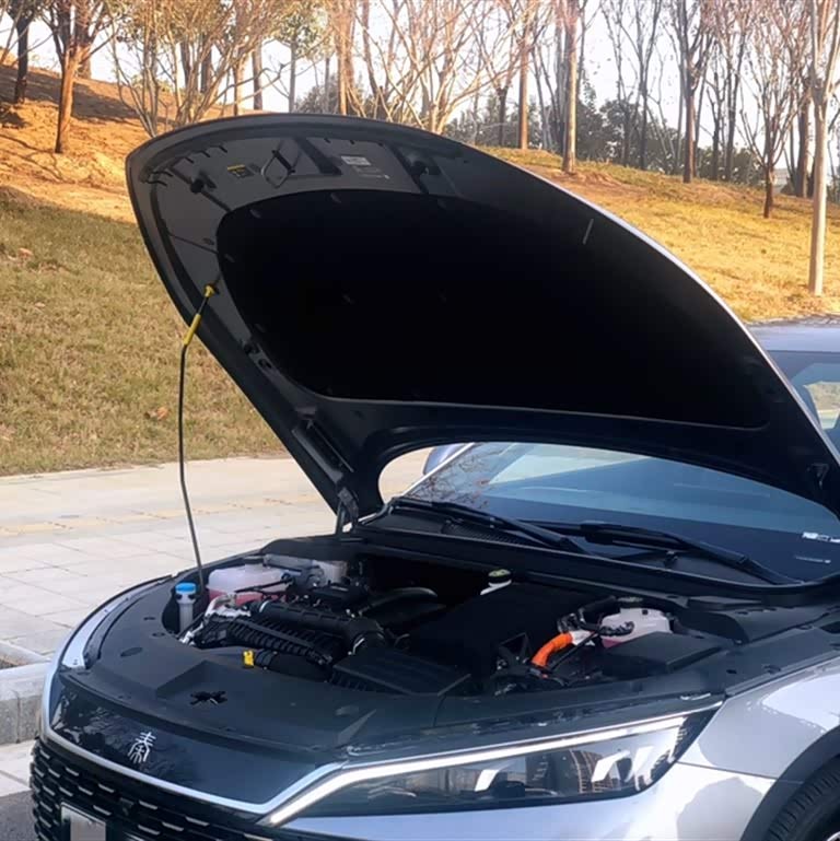 Qin L 2024 DM-i 120KM Beyond Edition Qin L 2024 DM-i 120KM Beyond Edition