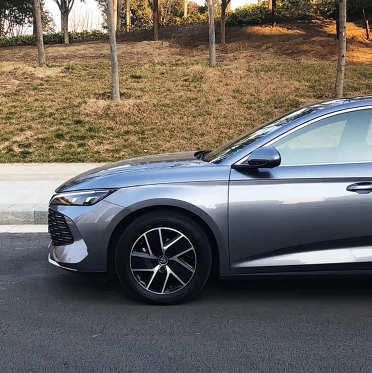Qin L 2024 DM-i 120KM Beyond Edition Qin L 2024 DM-i 120KM Beyond Edition