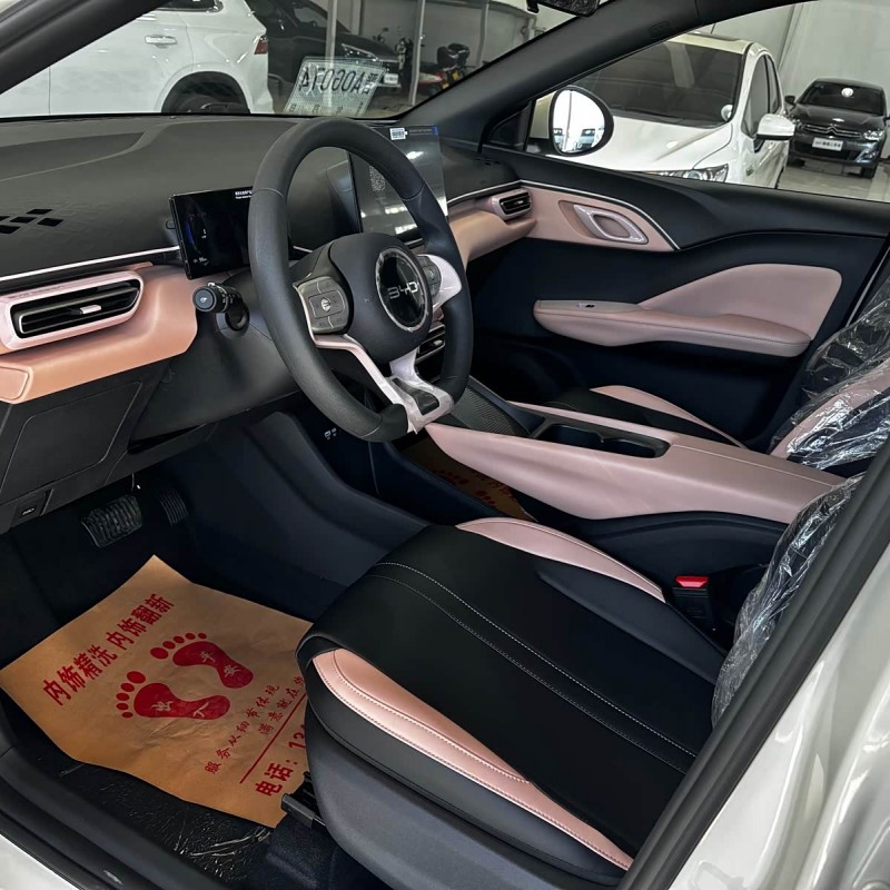 Seagull 2025 305km Vitality Edition Seagull 2025 305km Vitality Edition