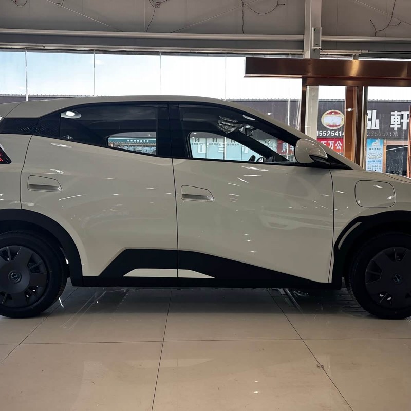 Seagull 2025 305km Vitality Edition Seagull 2025 305km Vitality Edition