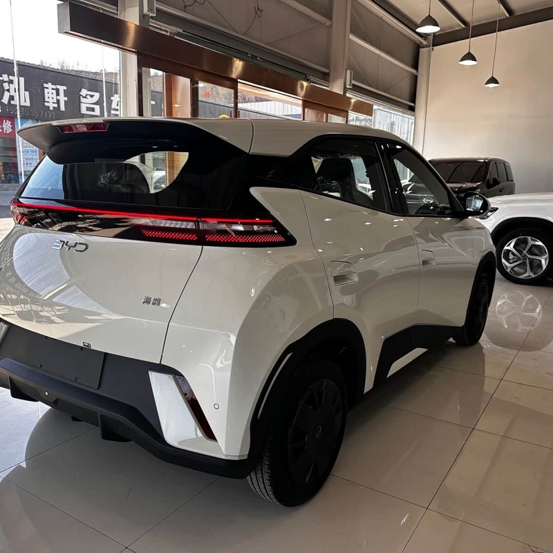Seagull 2025 305km Vitality Edition Seagull 2025 305km Vitality Edition