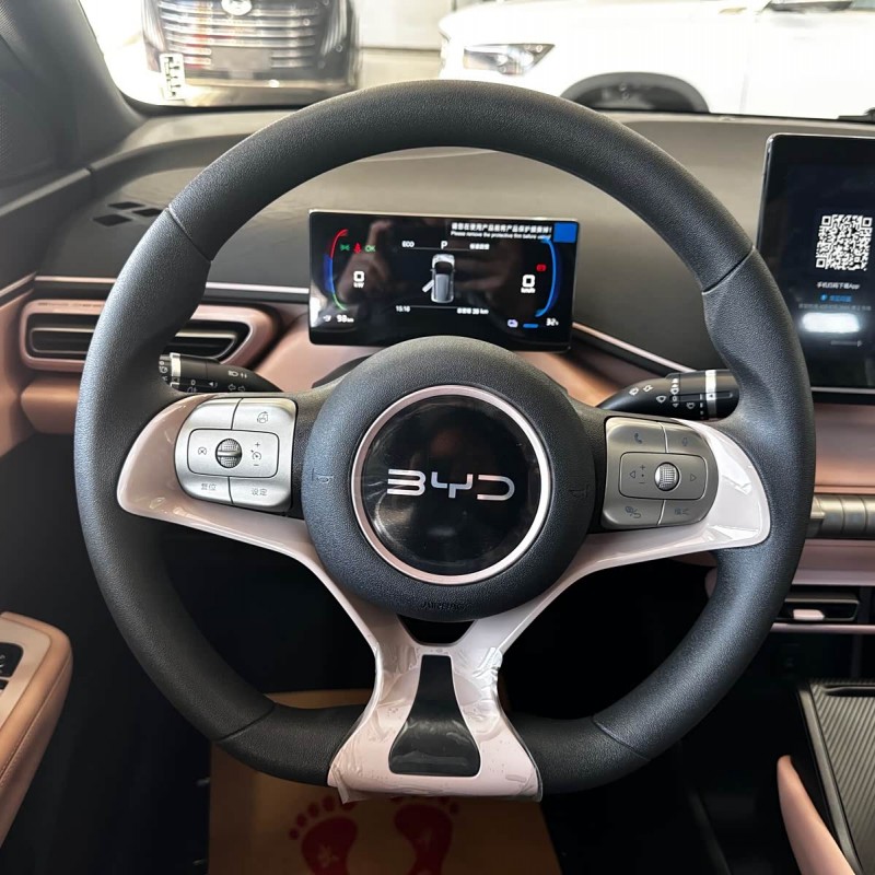 Seagull 2025 305km Vitality Edition Seagull 2025 305km Vitality Edition