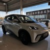 Seagull 2025 305km Vitality Edition