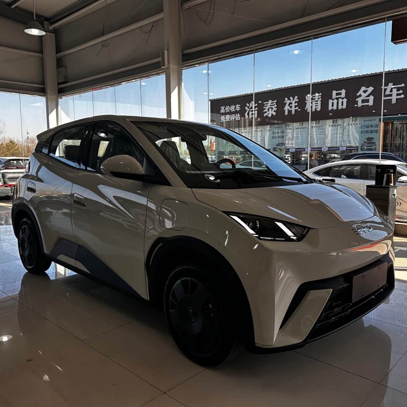 Seagull 2025 305km Vitality Edition Seagull 2025 305km Vitality Edition