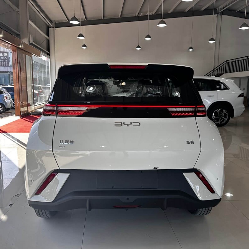Seagull 2025 305km Vitality Edition Seagull 2025 305km Vitality Edition