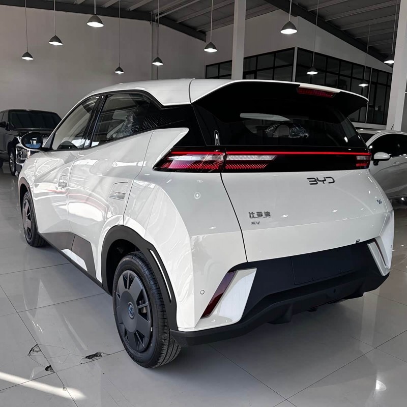 Seagull 2025 305km Vitality Edition Seagull 2025 305km Vitality Edition