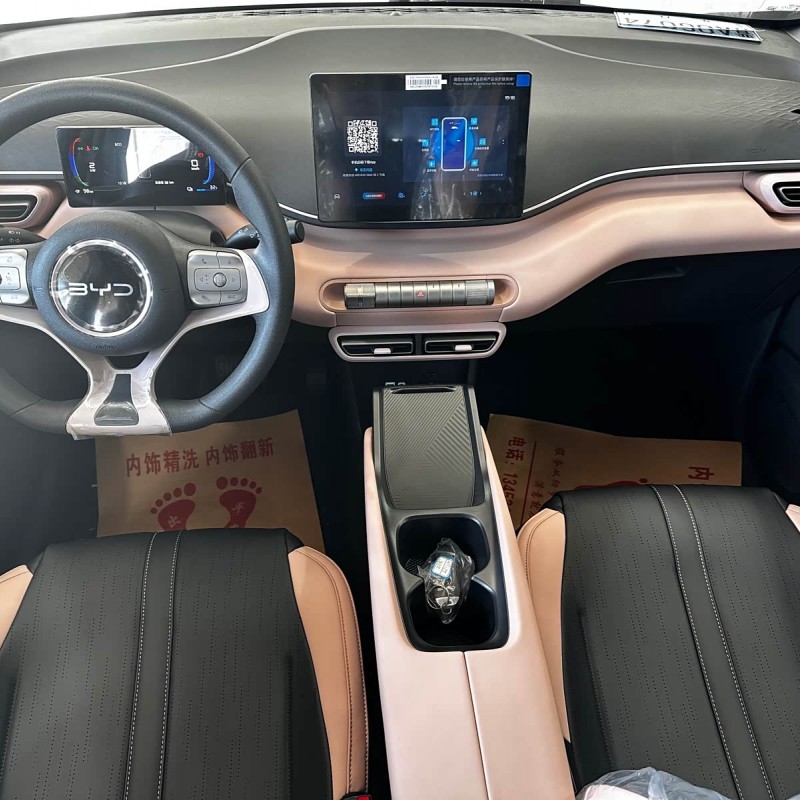 Seagull 2025 305km Vitality Edition Seagull 2025 305km Vitality Edition