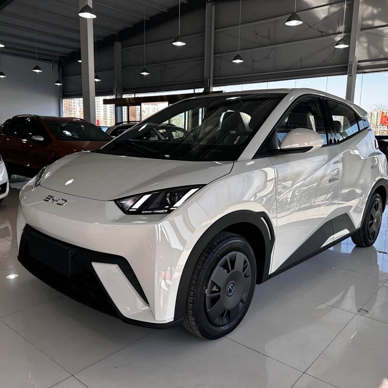 Seagull 2025 305km Vitality Edition
