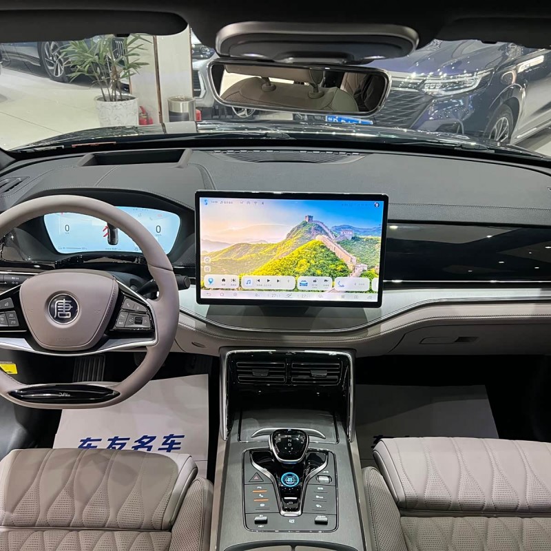 Tang New Energy 2024 DM-i Honor Edition 112KM Flagship Model Tang New Energy 2024 DM-i Honor Edition 112KM Flagship Model