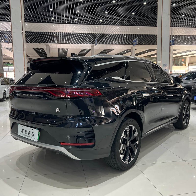 Tang New Energy 2024 DM-i Honor Edition 112KM Flagship Model Tang New Energy 2024 DM-i Honor Edition 112KM Flagship Model
